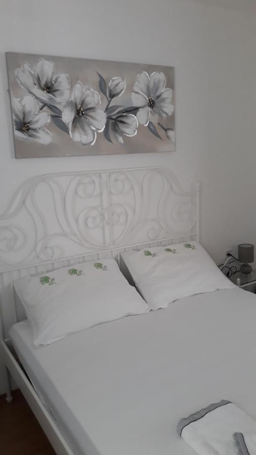 Vesna - Your Best Choice - 80 M From Beach Zaton  Εξωτερικό φωτογραφία