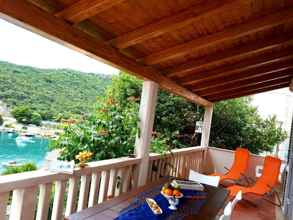 Vesna - Your Best Choice - 80 M From Beach Zaton  Εξωτερικό φωτογραφία