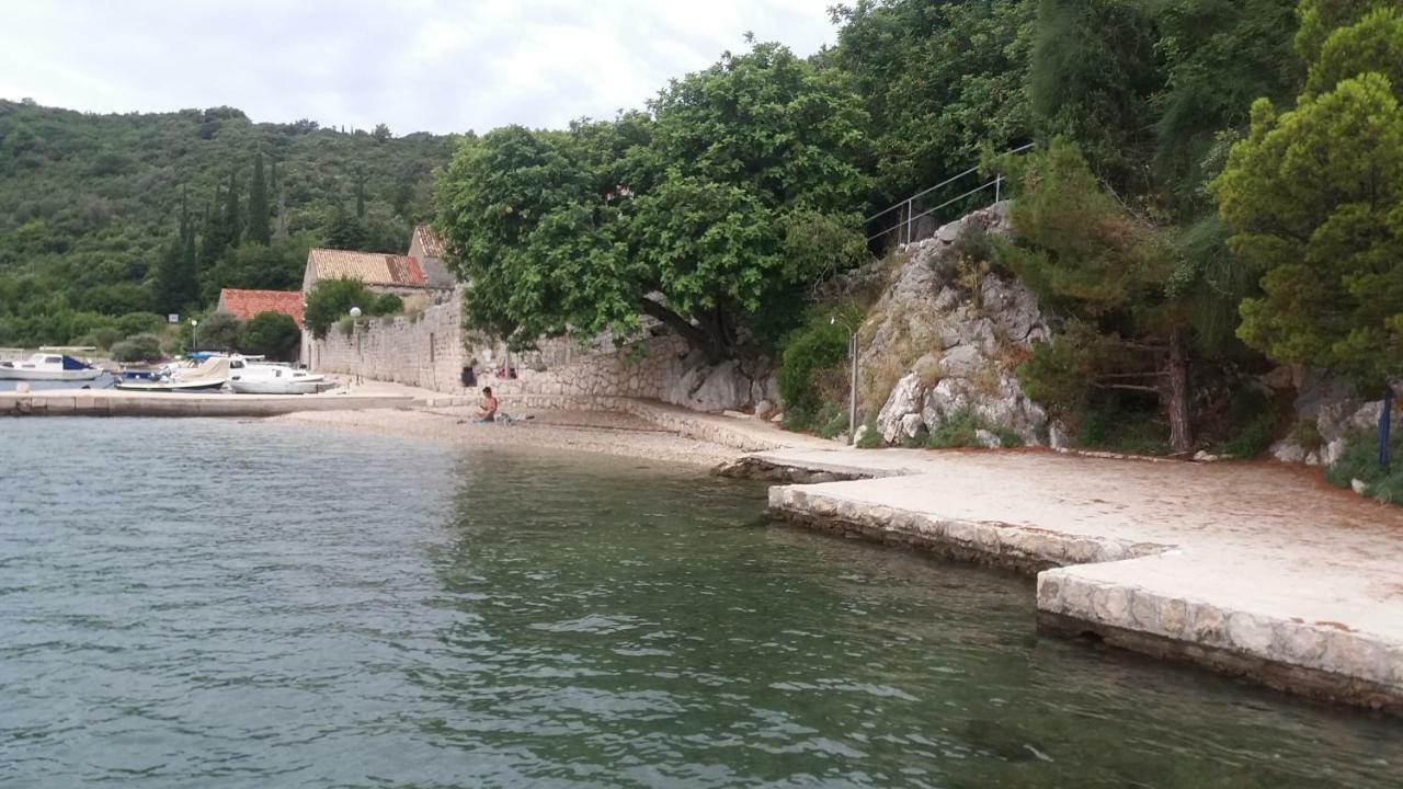 Vesna - Your Best Choice - 80 M From Beach Zaton  Εξωτερικό φωτογραφία