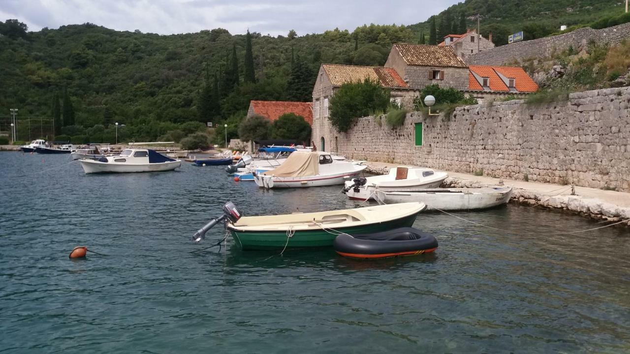 Vesna - Your Best Choice - 80 M From Beach Zaton  Εξωτερικό φωτογραφία