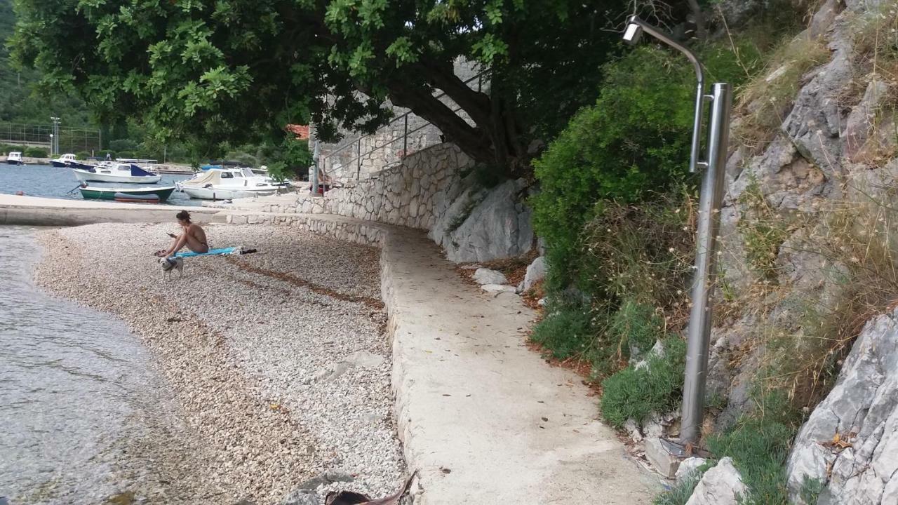 Vesna - Your Best Choice - 80 M From Beach Zaton  Εξωτερικό φωτογραφία