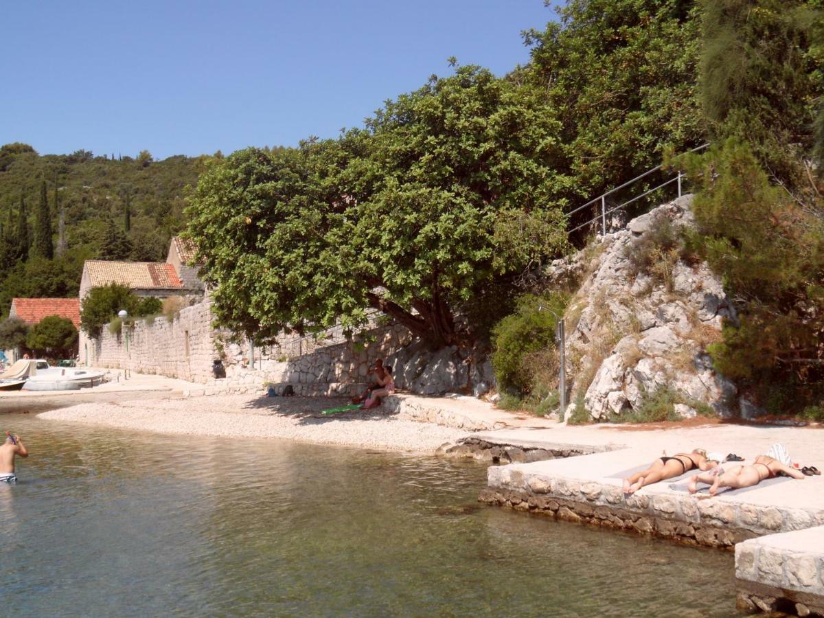 Vesna - Your Best Choice - 80 M From Beach Zaton  Εξωτερικό φωτογραφία